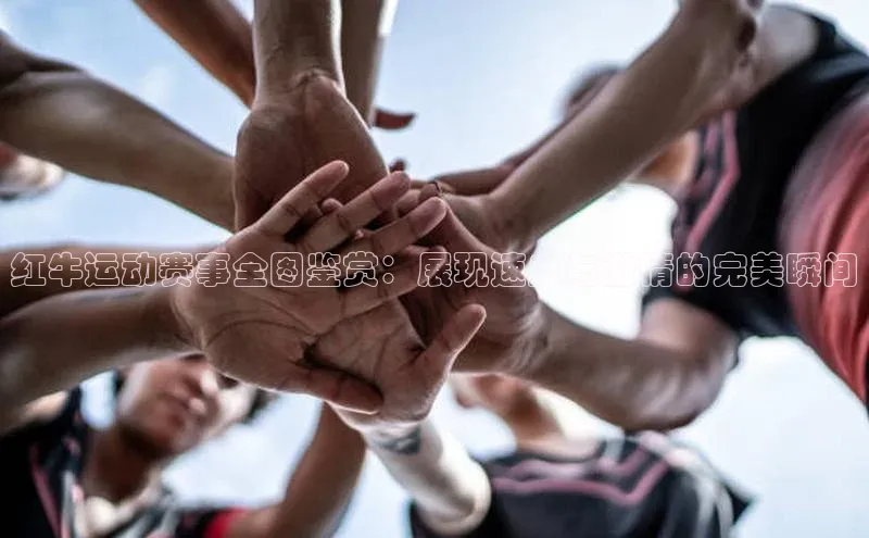 球盟会官网入口下载