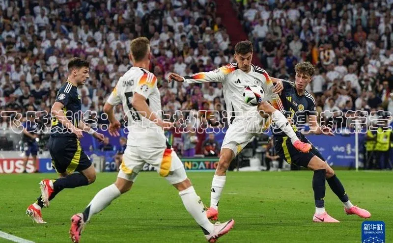 球盟会官方网页登录