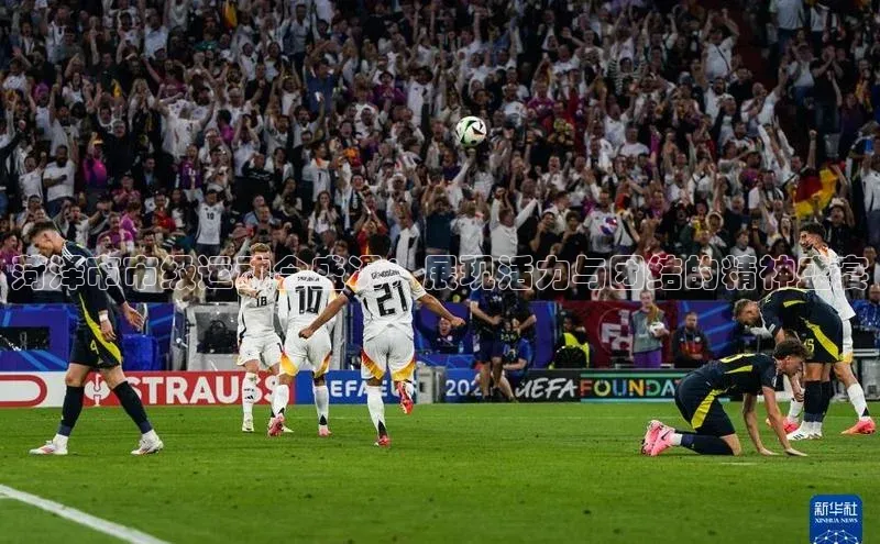 球盟会手机网页版