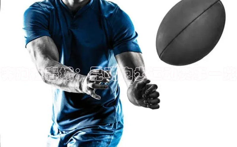 球盟会官方网入口