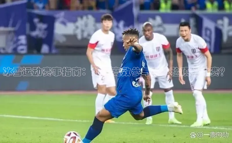 球盟会平台官网